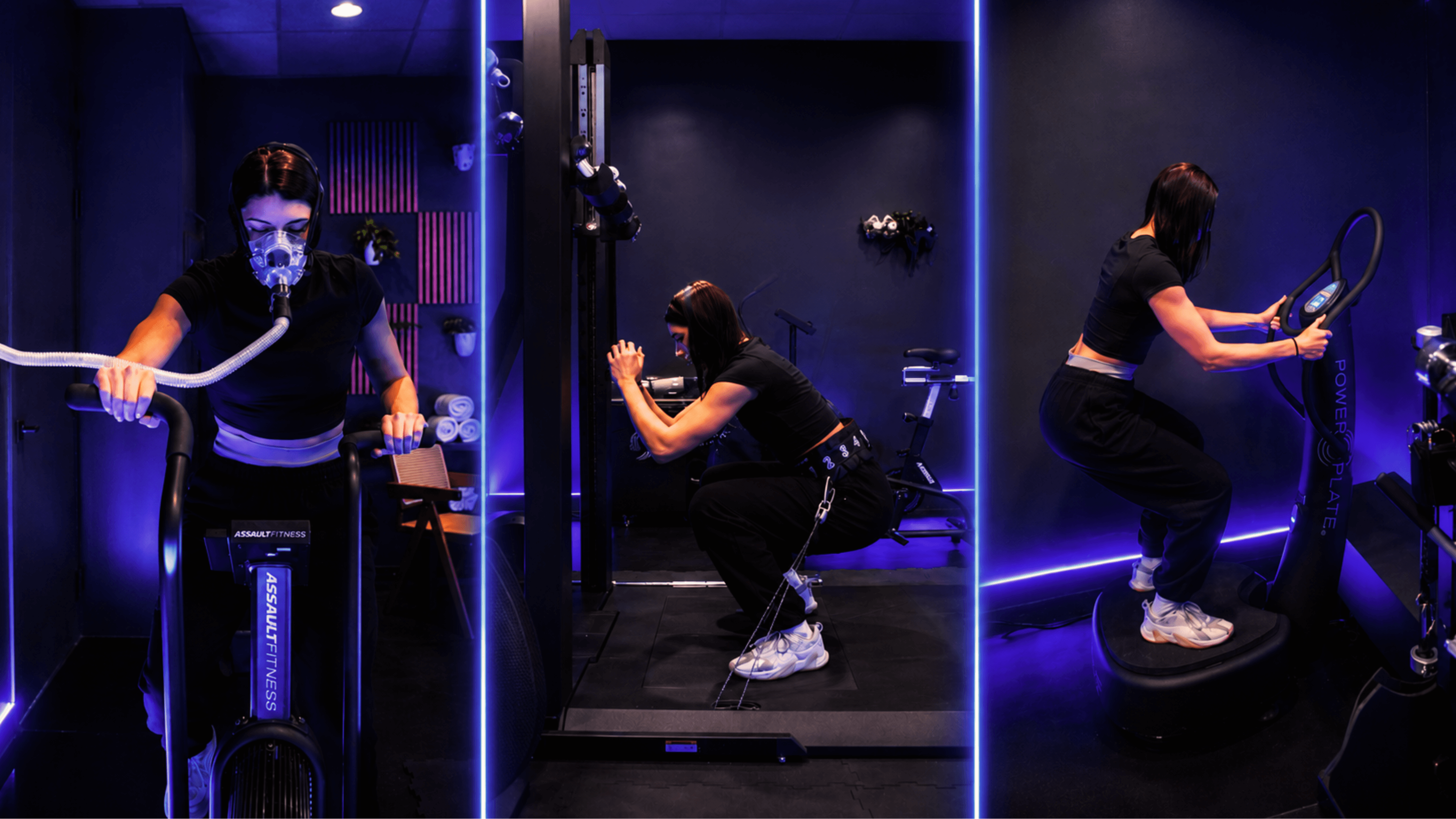 HEALab Training Session system